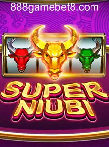 SuperNiubi